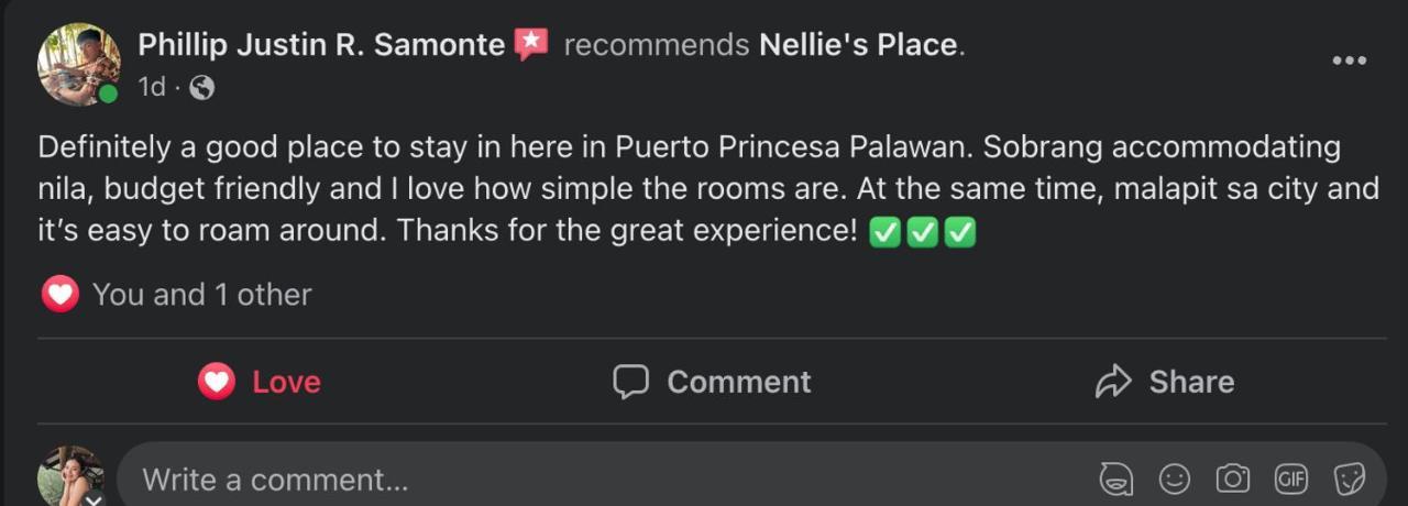 Nellie'S Place Puerto Princesa Exteriör bild